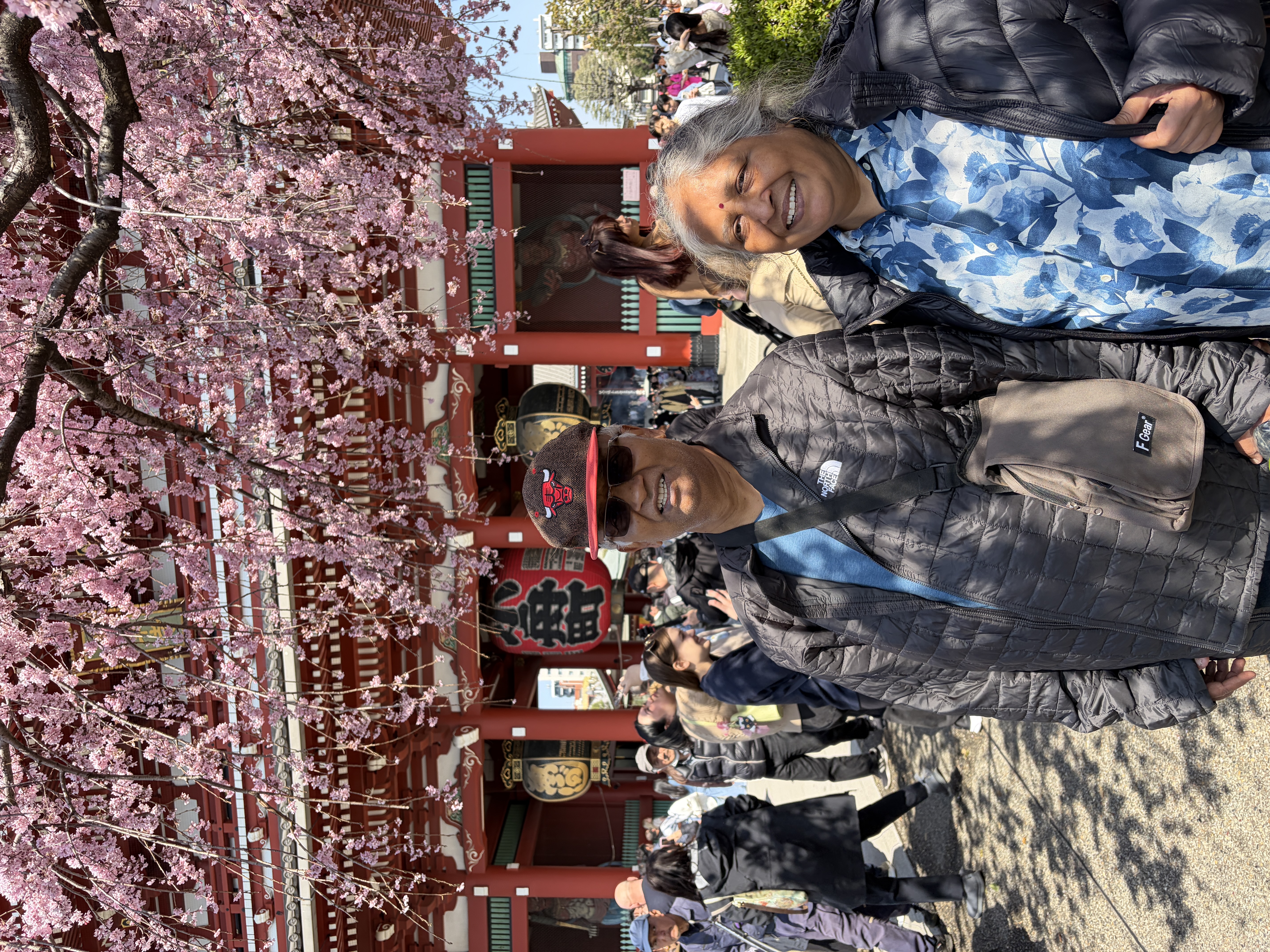 Asakusa with cherry blossoms